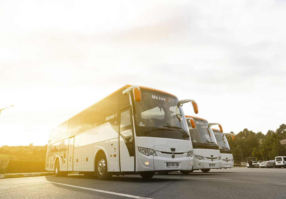 SAFİR PLUS 2024 54 lük